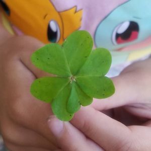 Meet your Posher, Claudia